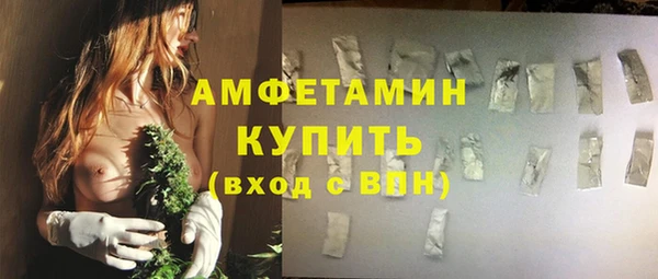 индика Богданович