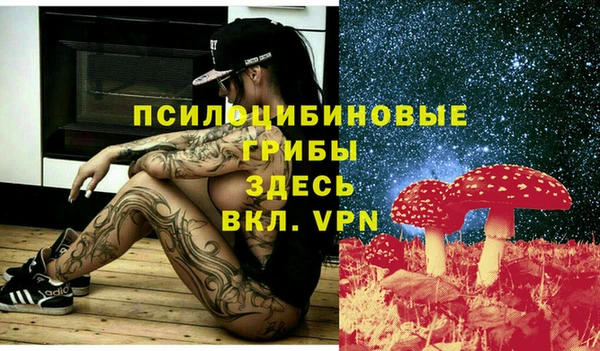дмт Сафоново