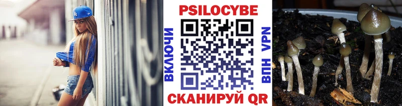 Псилоцибиновые грибы прущие грибы  купить  сайты  Тверь 